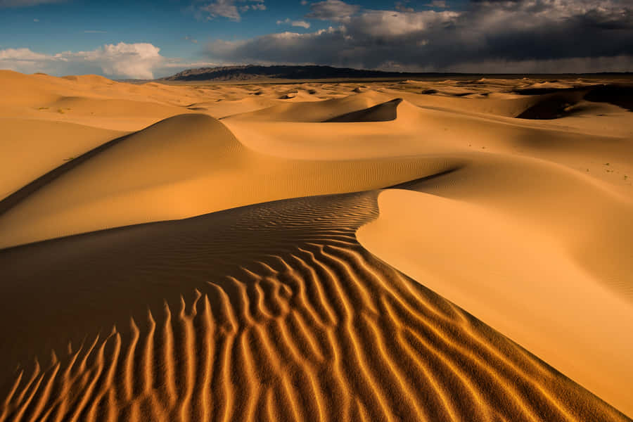 Dune Pictures Wallpaper