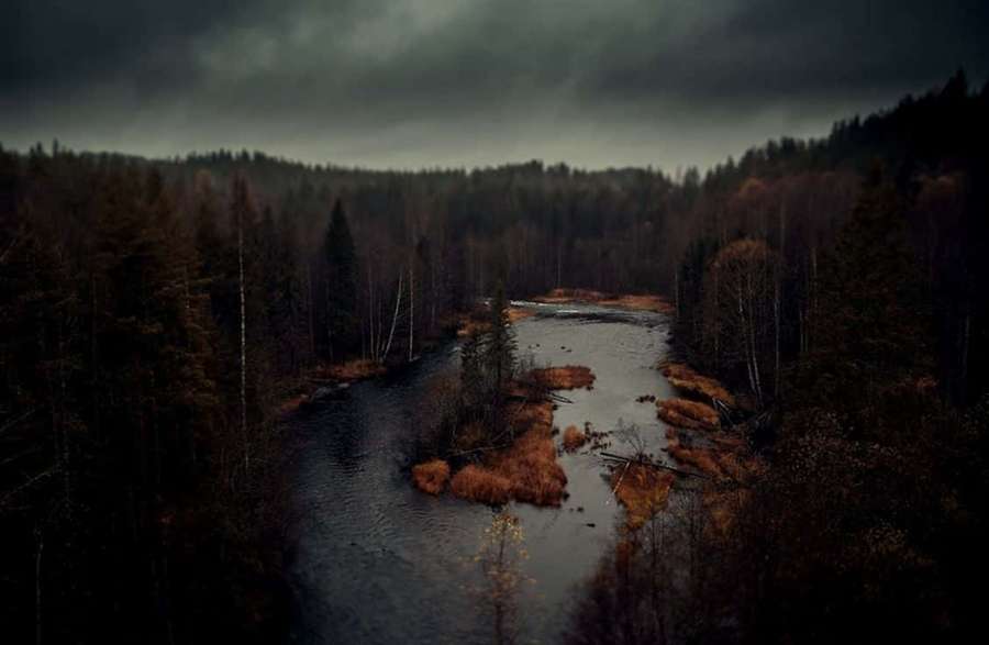 Ein dunkler Fluss fließt durch einen dichten Wald unter einem düsteren Himmel. — Dunkler Herbst Wallpaper
