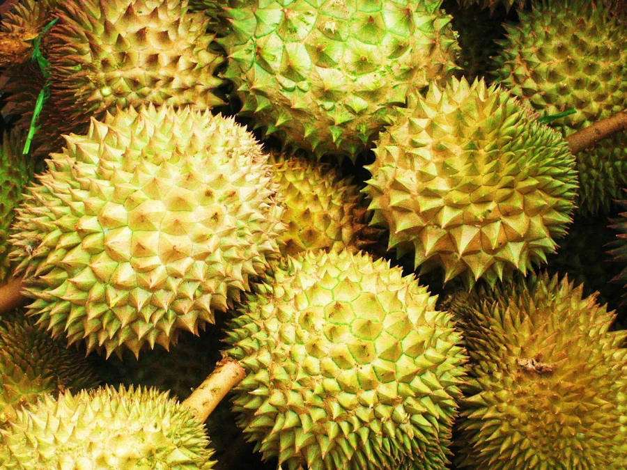 Durian Bilder