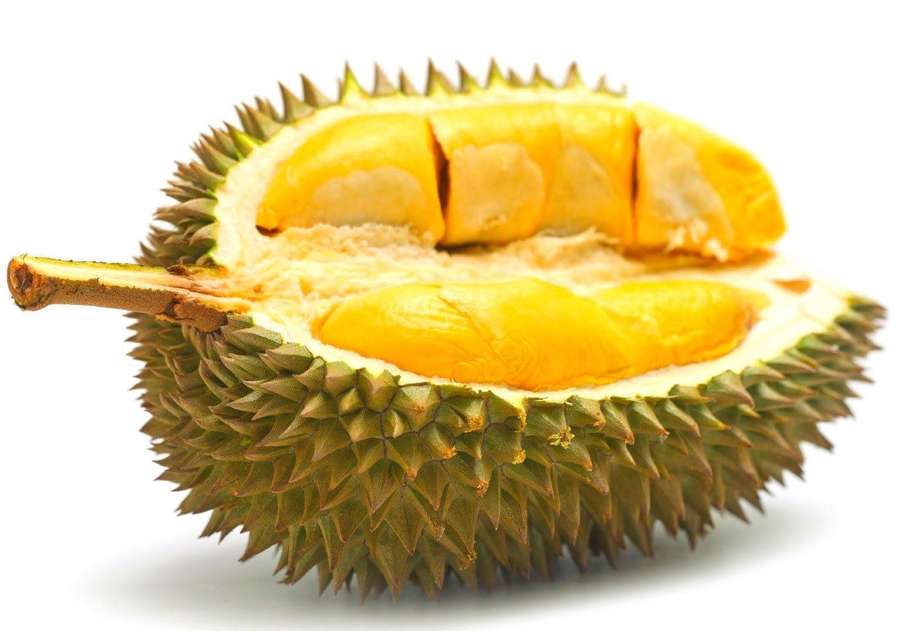 Eine aufgeschnittene Durianfrucht, die ihr cremig gelbes Fruchtfleisch und die stachelige grüne Schale zeigt. — Durian Bilder