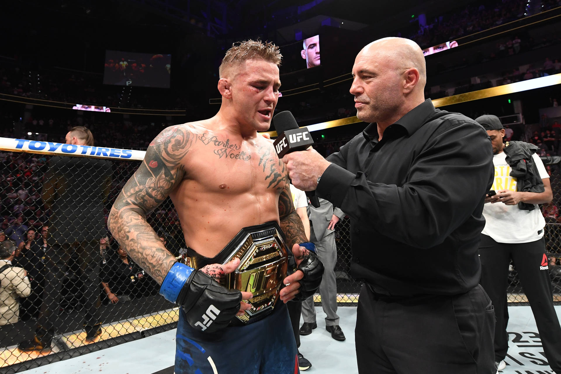 Dustin Poirier Taustakuva