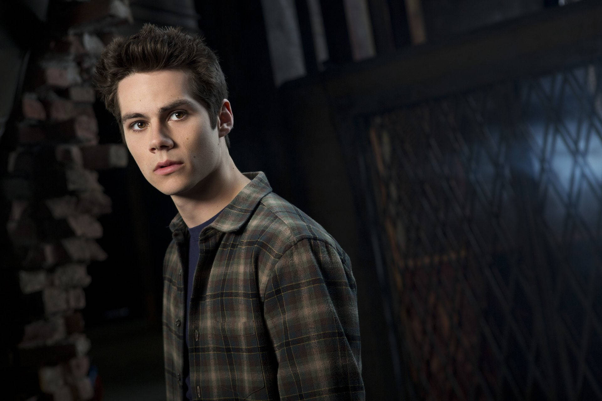 Dylan Pictures Wallpaper