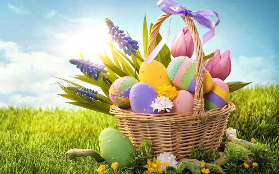 Easter basket filled with decorated eggs and flowers on green grass under sunny sky. — Easter Background