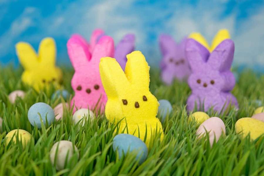 Easter marshmallow bunnies and eggs in green grass under blue sky — Easter Peeps Wallpaper