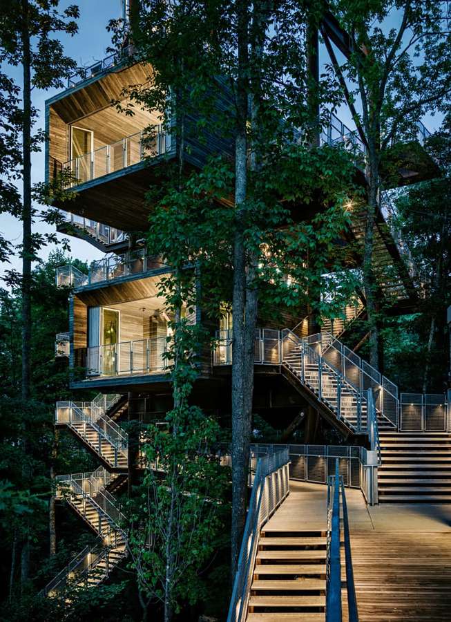 Casa del árbol moderna de varios niveles con balcones y escaleras iluminados en un bosque por la noche. — Edificios verdes Fondos de pantalla