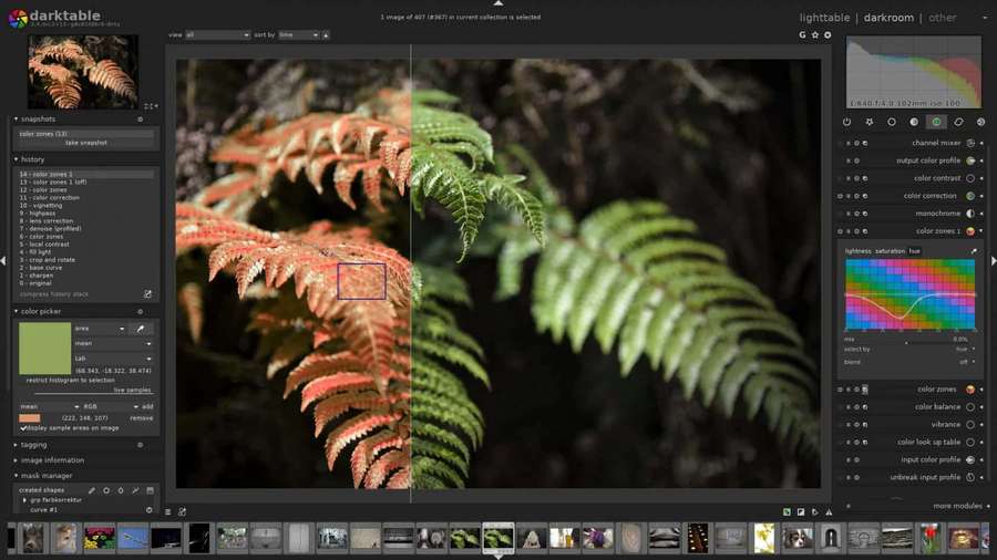 Fern leaves in green and red tones with dark background in photo editing software. — Editing Picture