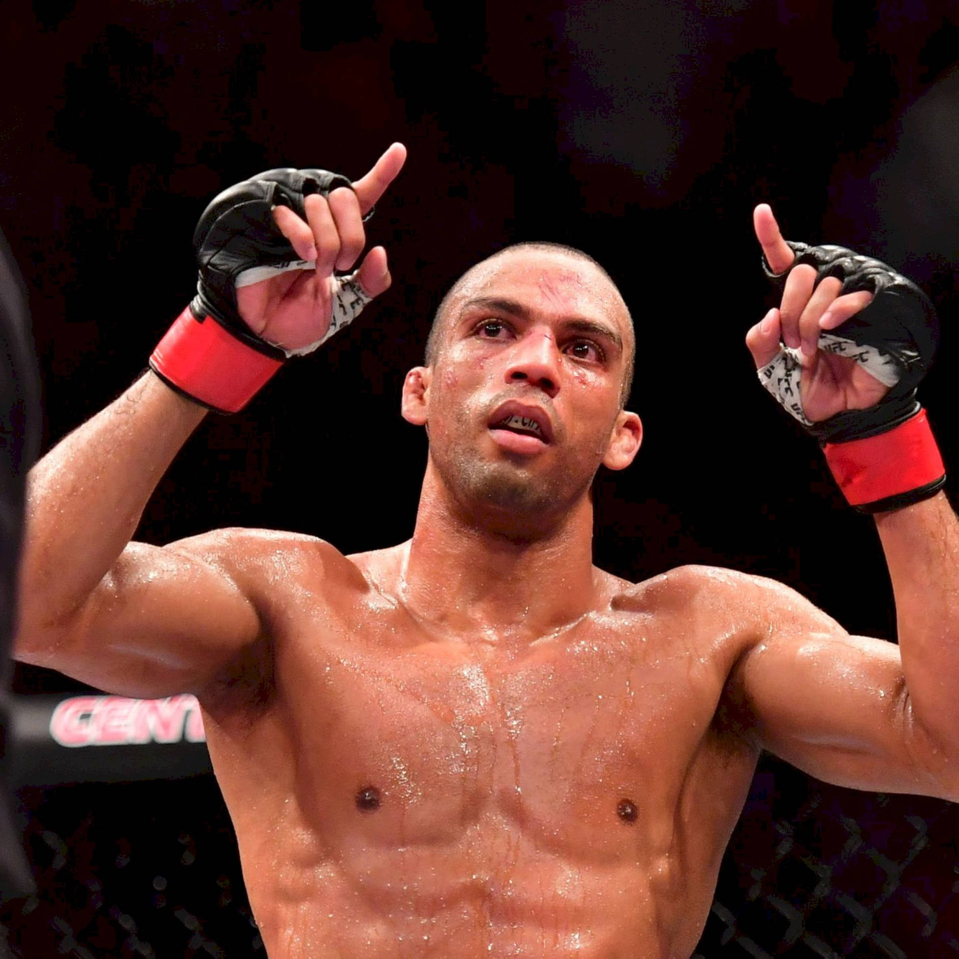 En segrande MMA-fighter höjer sina fingrar i firande inuti oktagonen. — Barboza, Edson Bakgrundsbilder