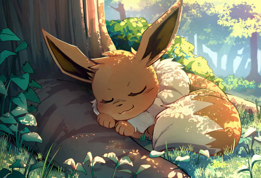 Eevee Pokemon Lucu Wallpaper