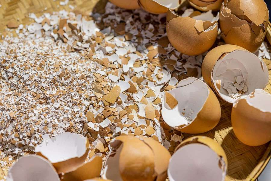 Broken eggshells and fragments on a bamboo tray in bright sunlight. — Eggshell Wallpaper
