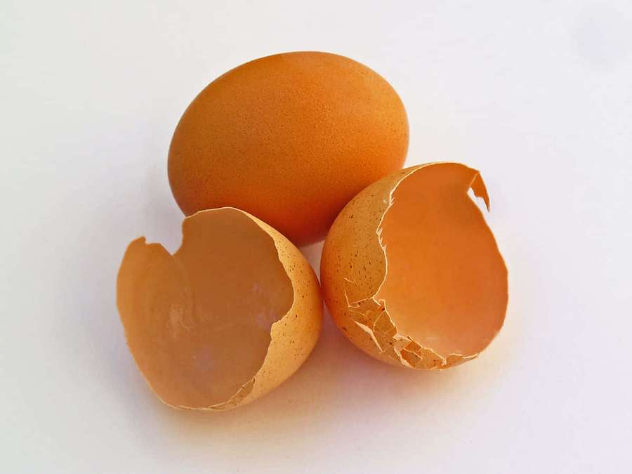 A whole brown egg and two broken eggshells on a white background. — Eggshell Picture