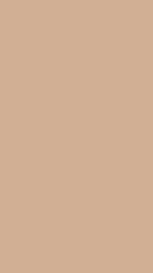 Beige einfarbige Tapete ohne Muster oder Designs — Einfaches Beige Wallpaper