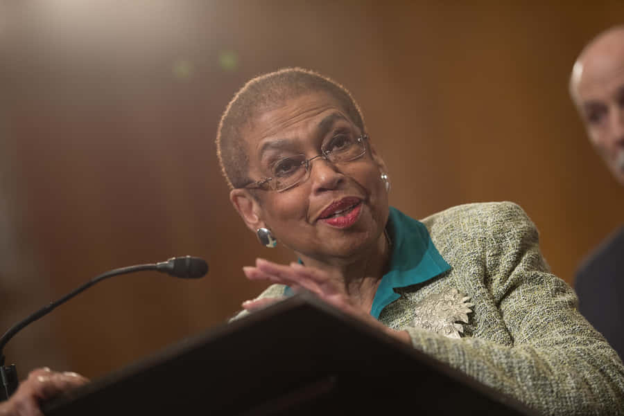 Eleanor Holmes Norton Taustakuva