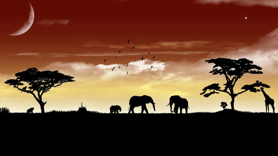 Elefanten Hintergrundbilder