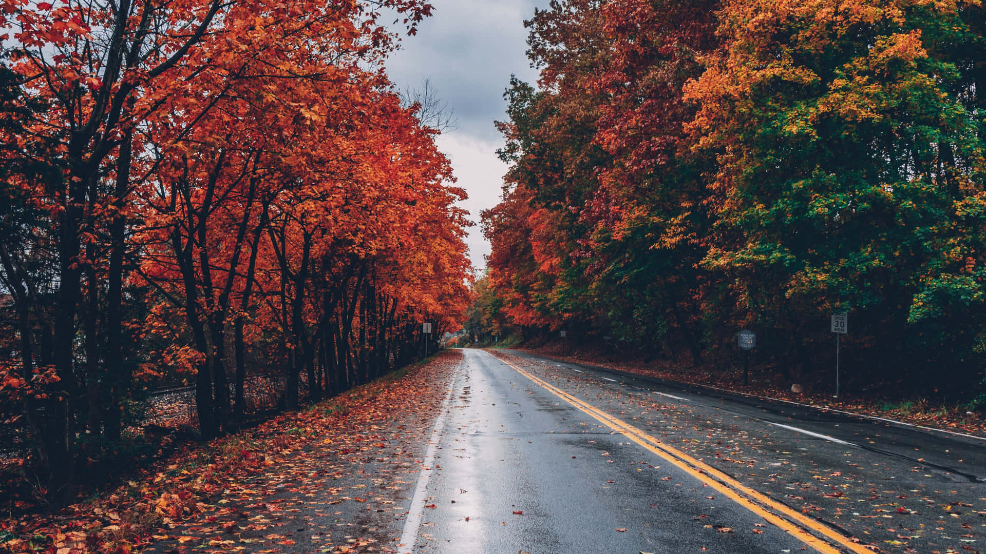 Best Empty Road Pictures [HD] | Download Free Images on Unsplash