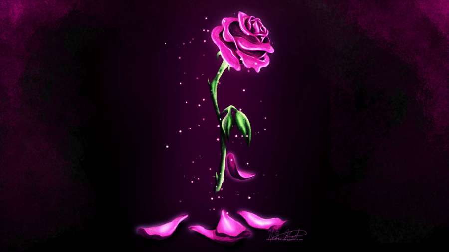 A glowing pink rose with falling petals against a dark purple background with sparkles. — Enchanted Background
