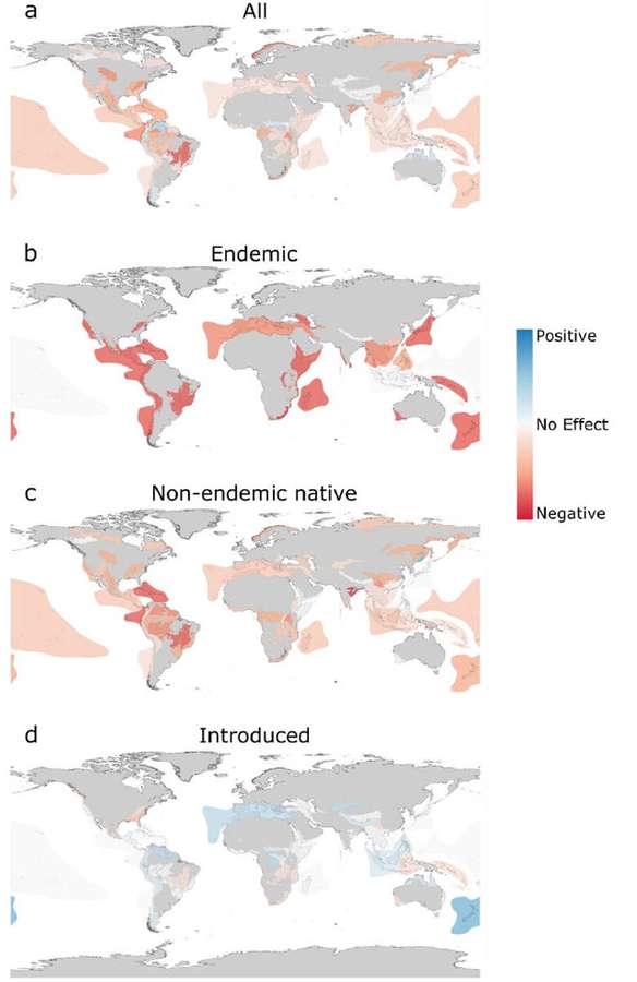 Cuatro mapas mundiales que muestran zonas de impacto de especies con gradiente de color de positivo a negativo. — Endémico Fondos de pantalla