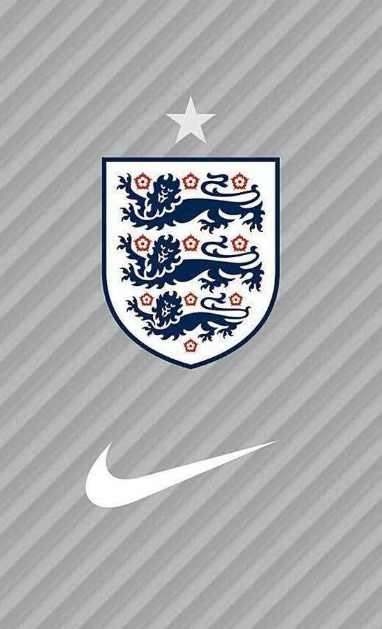 England football team crest with three lions and red roses on gray diagonal stripes with Nike swoosh and star. — England Cricket Background