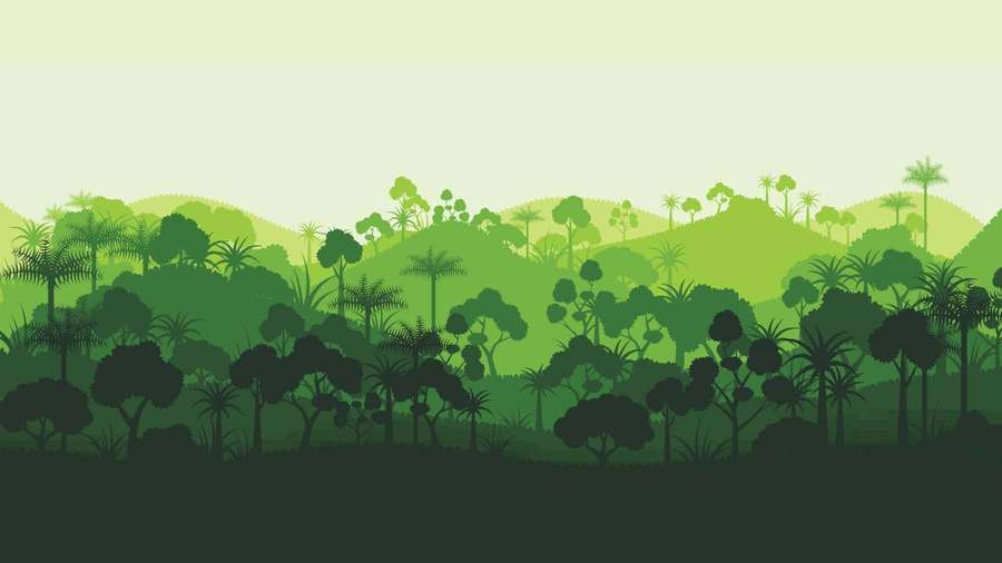 Tropical jungle with layered trees on rolling hills under a soft green sky. — Environment Background