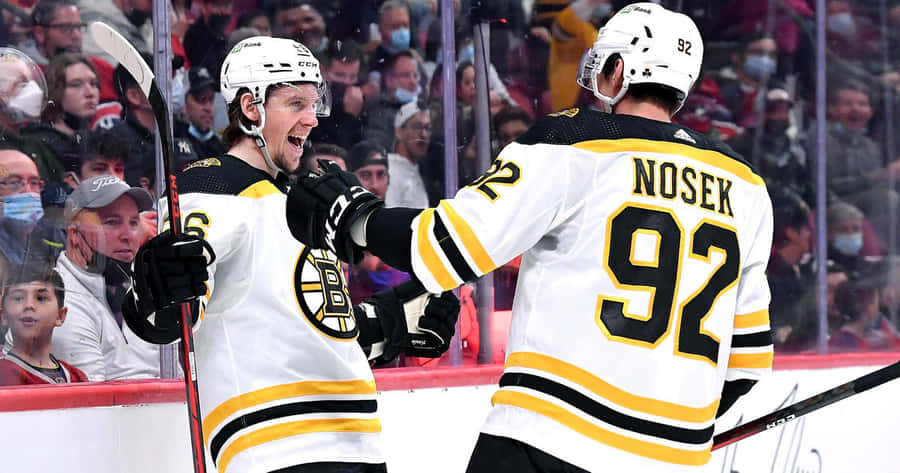 Erik Haula Bakgrunnsbildet