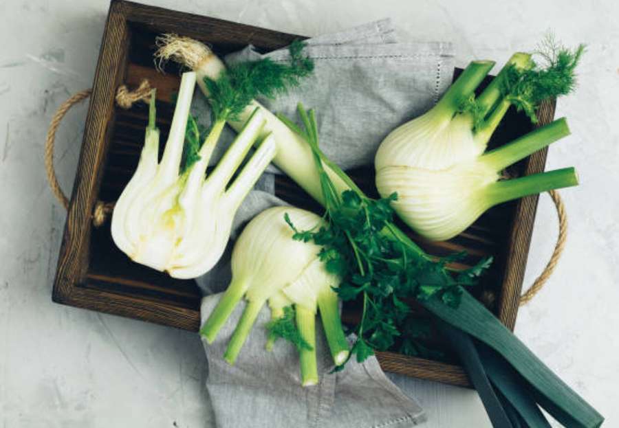 Bulbos de funcho fresco e caules verdes sobre um pano cinza em uma bandeja de madeira. — Erva-doce Papéis de Parede