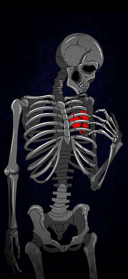 Esqueleto gris sosteniendo un corazón rojo brillante contra fondo azul oscuro. — Esqueleto Fondos de pantalla