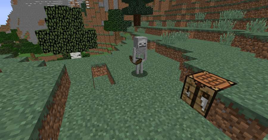 Esqueleto de Minecraft en bioma cubierto de hierba con cofre y árboles — Esqueleto de Minecraft Fondos de pantalla