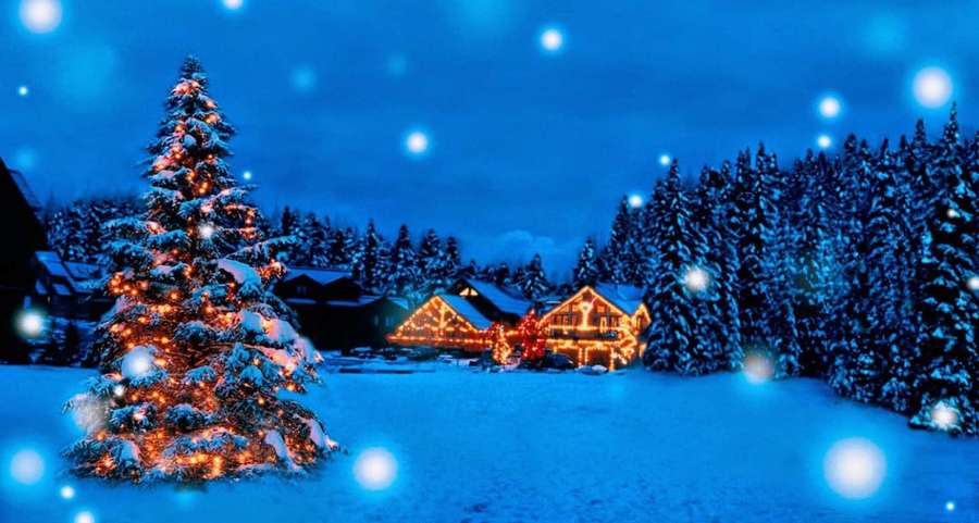 Árbol de Navidad nevado y cabaña iluminados con luces cálidas bajo un cielo nocturno estrellado. — Estético Fondos de pantalla