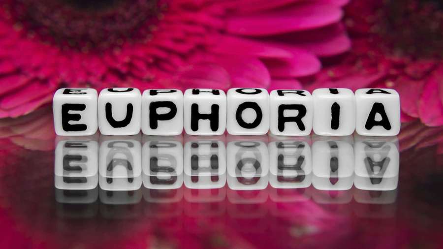 White letter cubes spelling euphoria on a reflective surface with pink flower background. — Euphoria Background