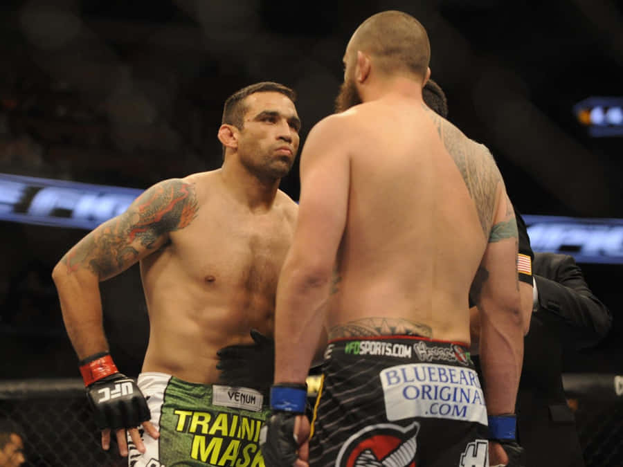 Fabricio Werdum Achtergrond