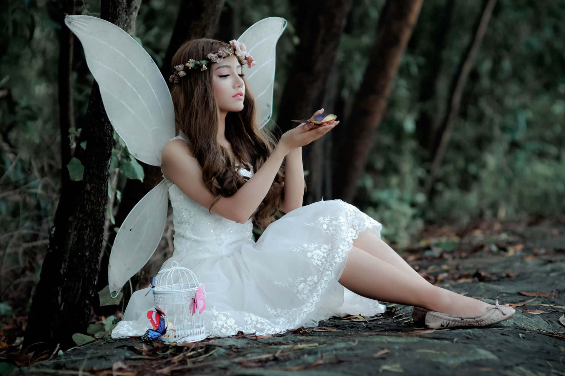 Fairy Aesthetic Pictures Wallpaper