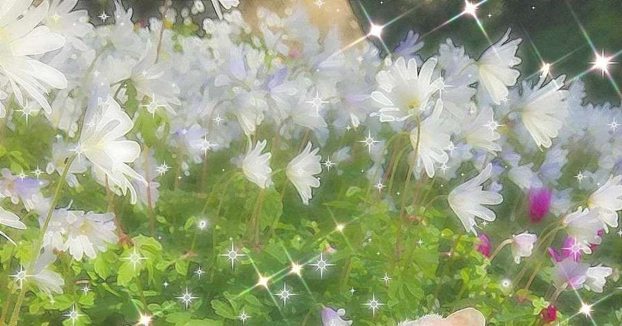Weiße und lila Blumen schimmern mit funkelnden Lichtern auf einer üppigen grünen Wiese. — Fairycore Hintergrund Hintergrundbild