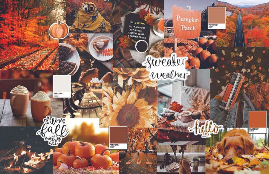 Hösttematisk collage med pumpor, tröjor, solrosor och varma drycker. — Fall Collage Bakgrundsbilder