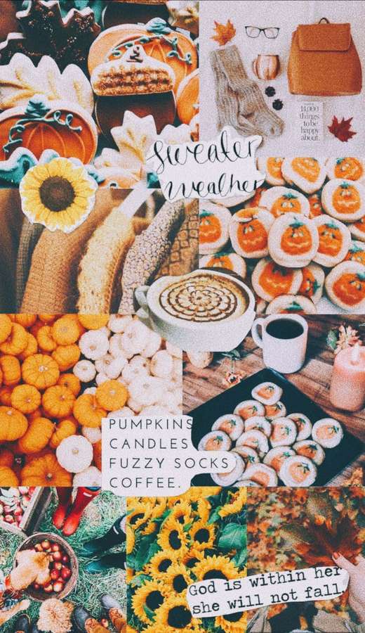 Autumn collage with pumpkins sunflowers fuzzy socks coffee and cozy text. — Fall Collage Background