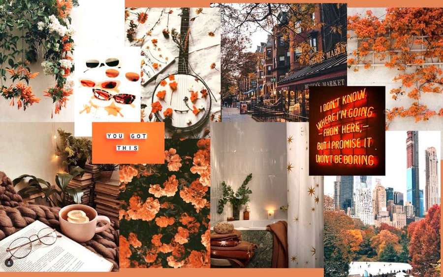 Autumn-themed collage with coffee books flowers street scenes and motivational neon sign. — Fall Collage Desktop Wallpaper