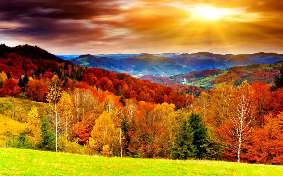 Rolling hills covered in autumn trees under a golden sunset sky. — Fall Computer Background