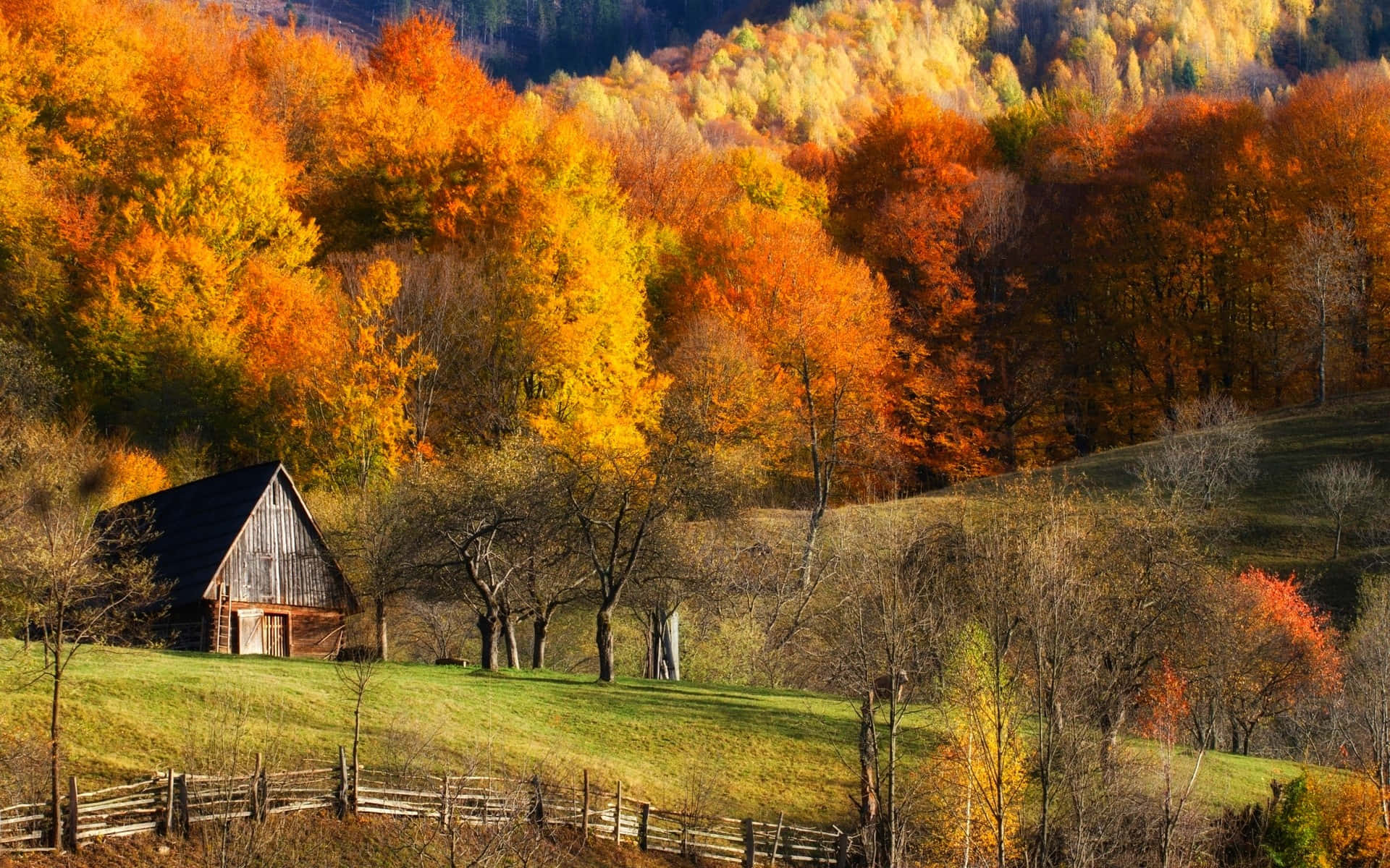 Fall Country Wallpaper