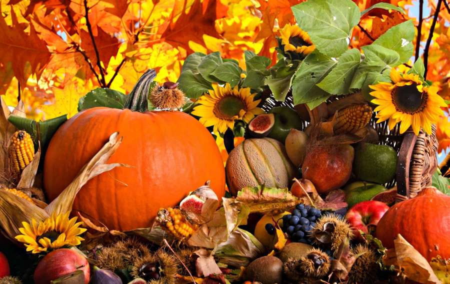 Colorful autumn harvest with pumpkins sunflowers and corn under golden leaves. — Fall Crafts Wallpaper