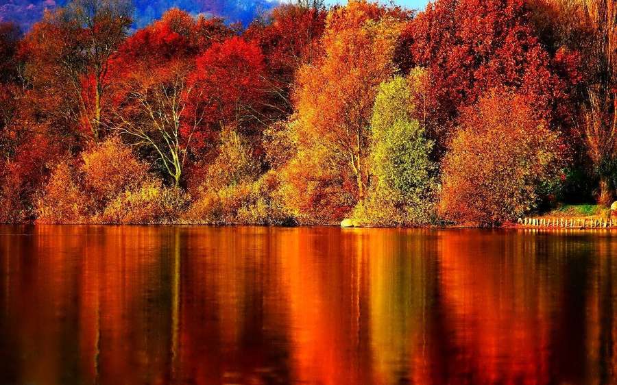 Autumn forest with colorful trees reflected in a calm lake. — Fall Desktop Wallpaper