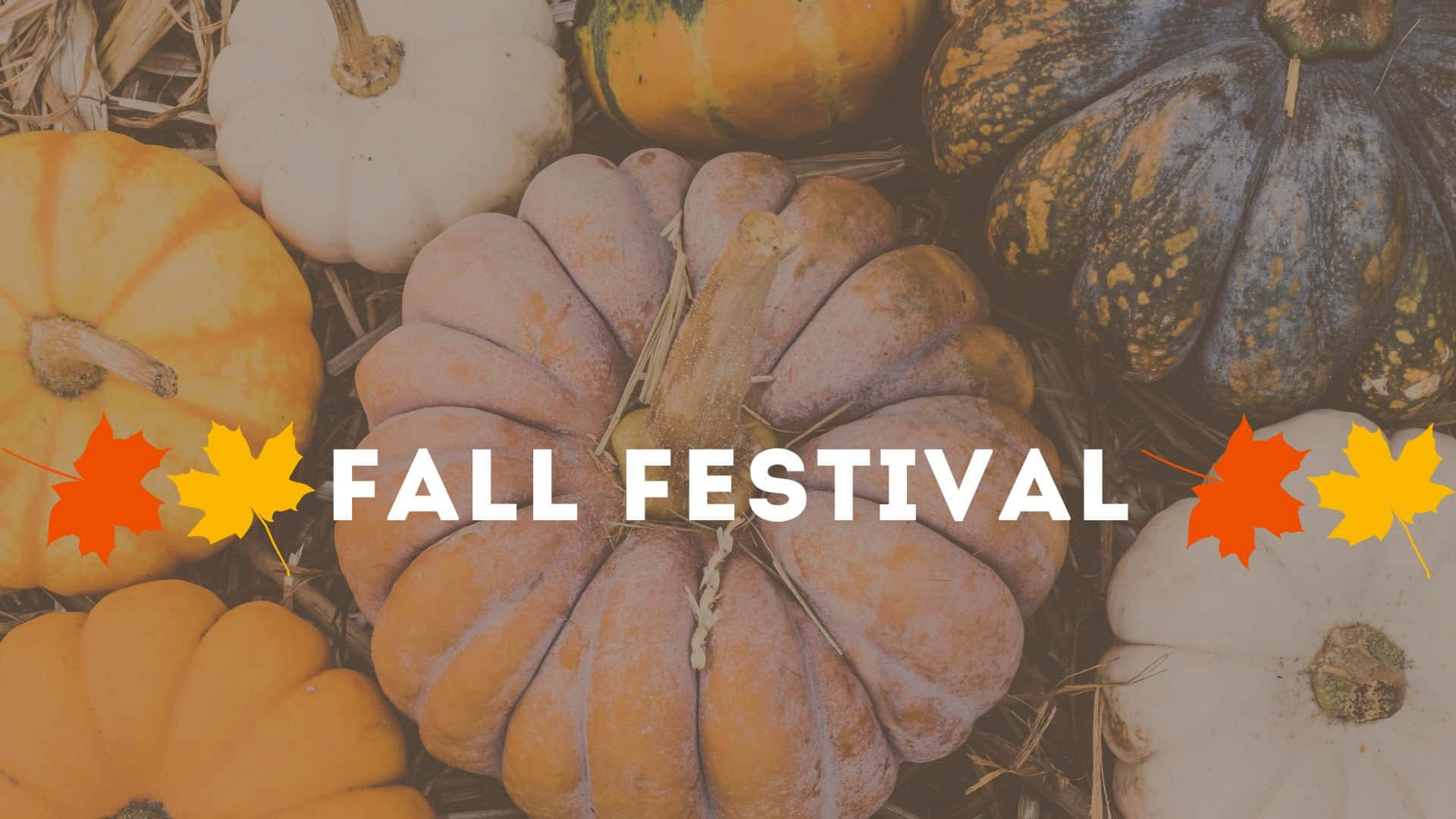 Fall Festival Wallpaper