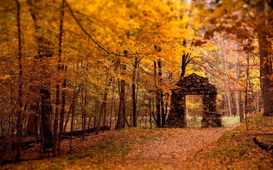 Stone archway in autumn forest with golden leaves on the ground — Fall Season Background