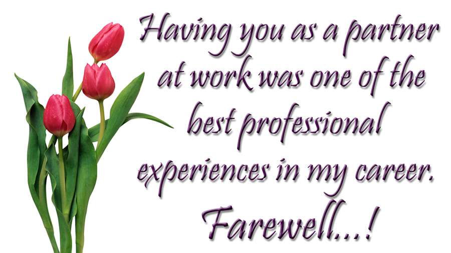 Three red tulips with green leaves beside farewell message text. — Farewell Background