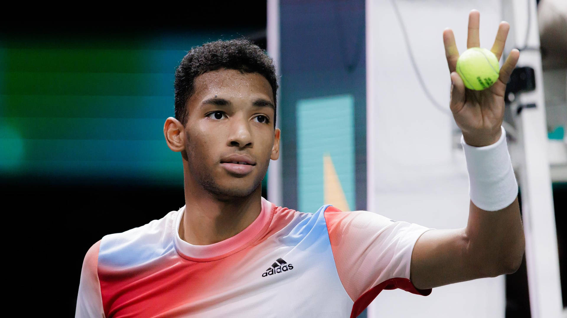 Felix Auger Aliassime Wallpaper