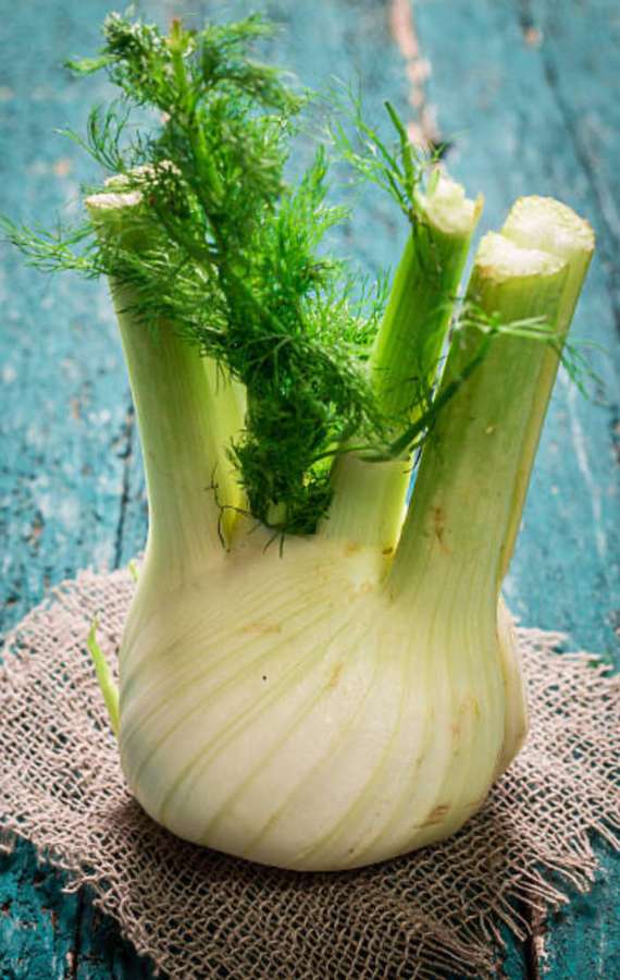 Frische Fenchelknolle mit grünen Blättern auf Sackleinen über blauem Holz. — Fenchel Wallpaper