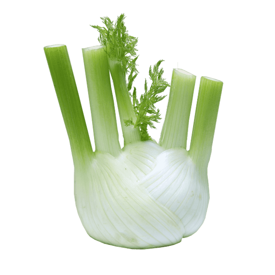 Fennel Png