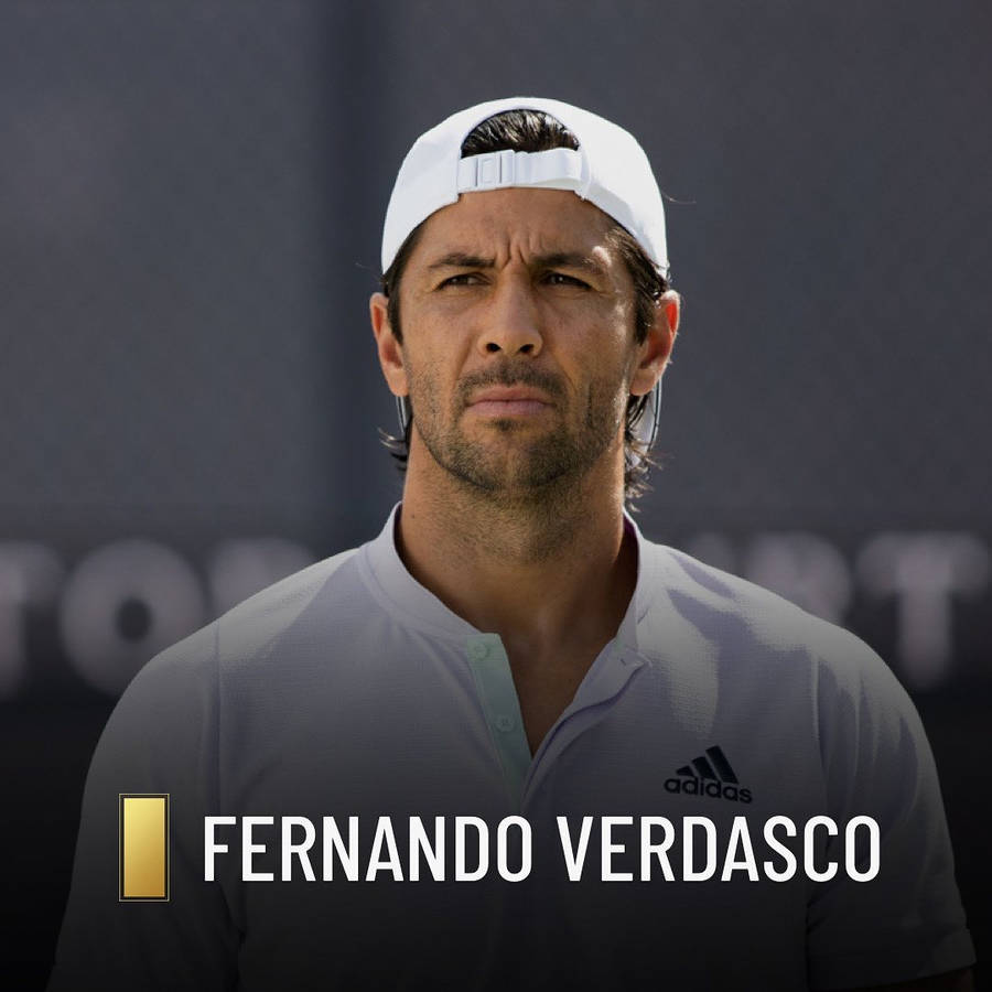 Fernando Verdasco Taustakuva