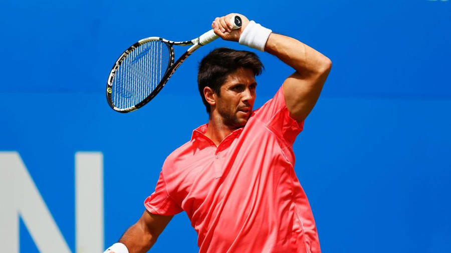 Fernando Verdasco Fond d'écran