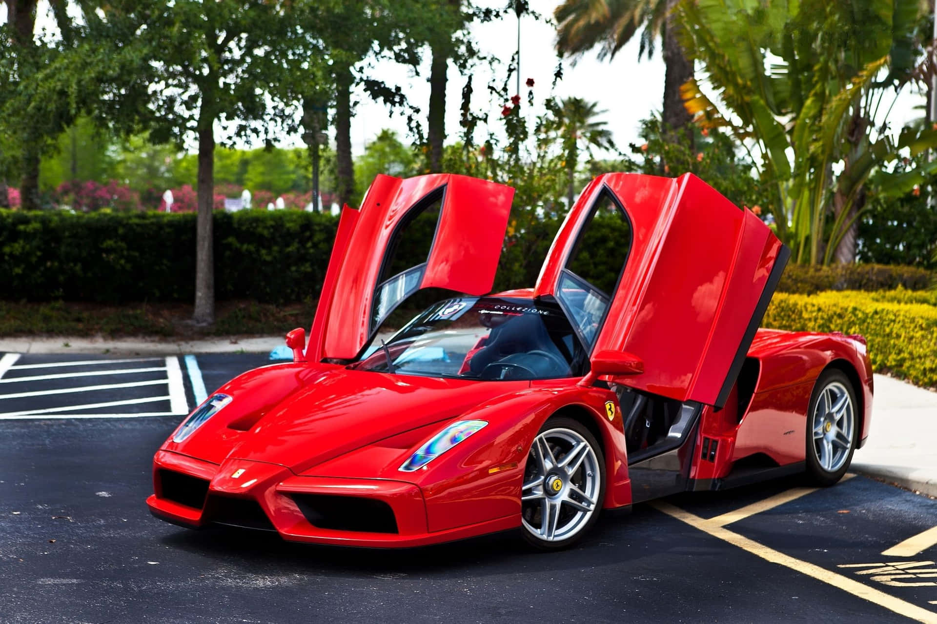 Ferrari Enzo Bakgrunnsbildet