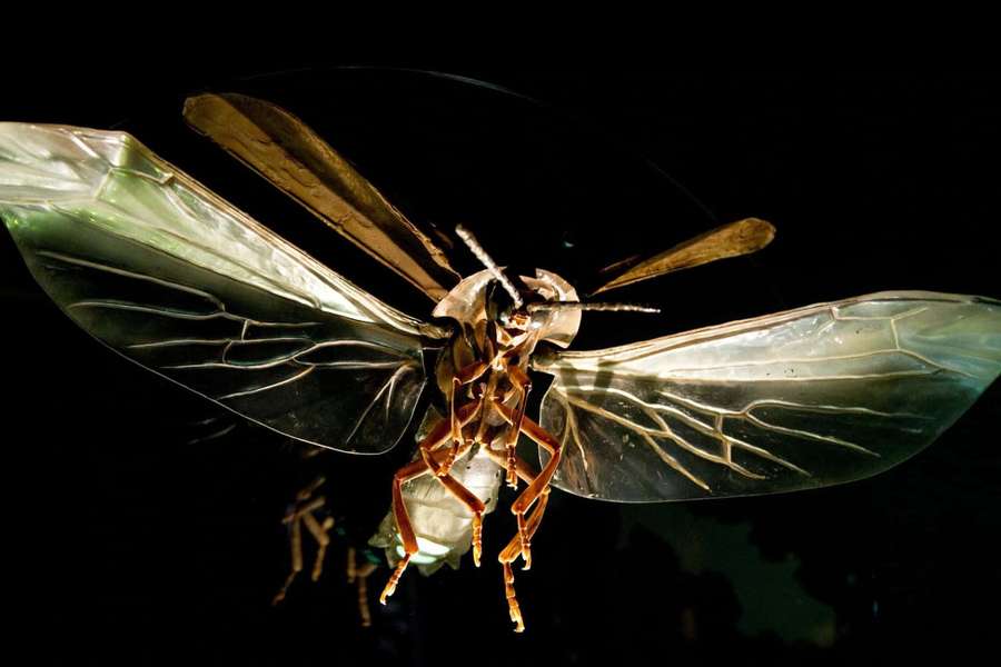 Metallic insect sculpture with glowing wings against dark background — Firefly Wallpaper