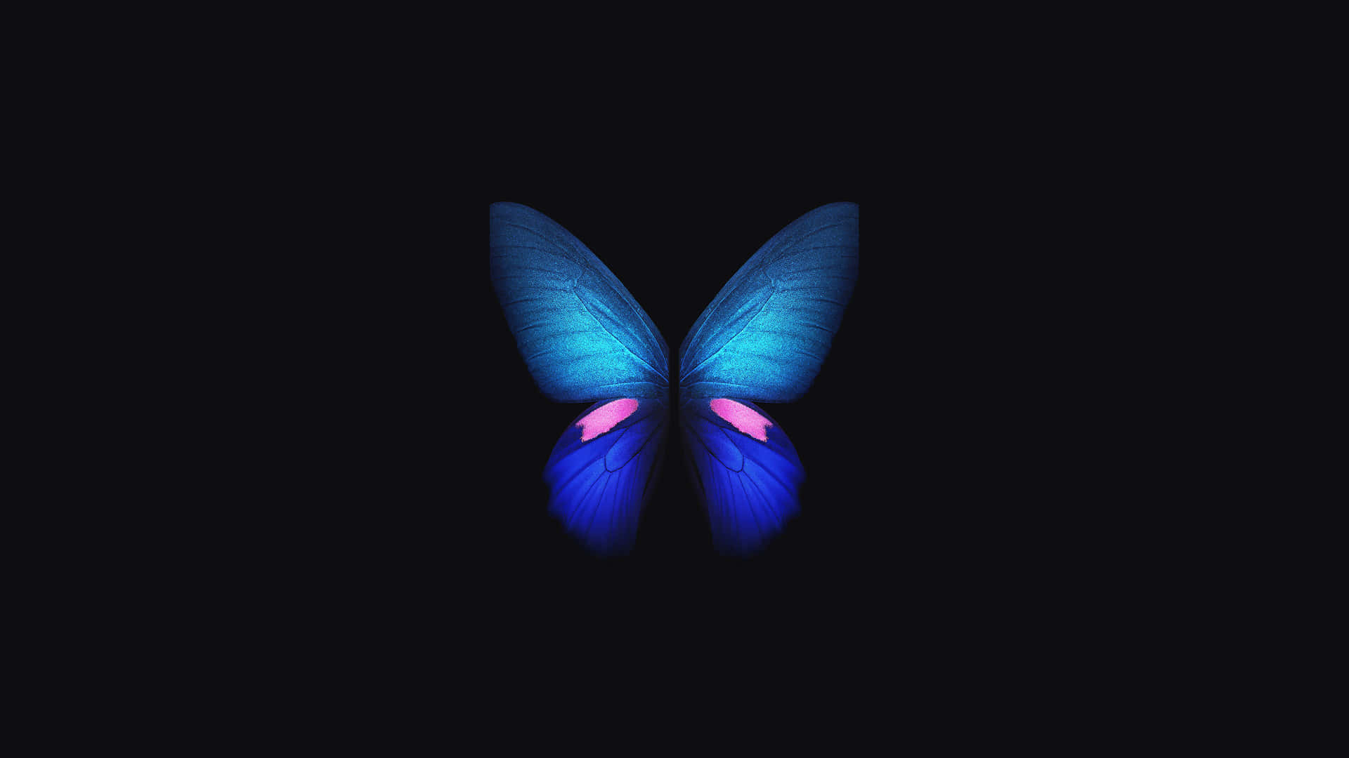 Fjärilar Laptop Wallpaper