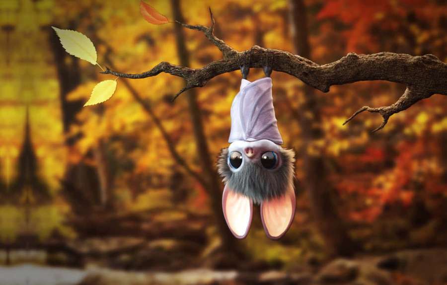Eine kleine pelzige Fledermaus mit großen Augen hängt an einem Baumast in einem farbenfrohen Herbstwald. — Fledermaus Wallpaper